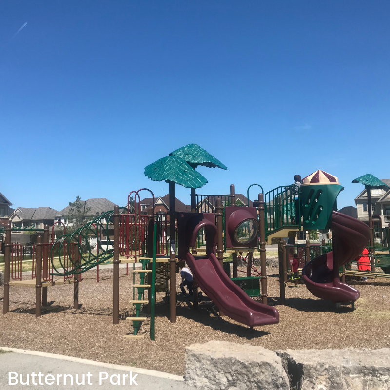 Butternut Park playground with slides. The sky is blue overhead.