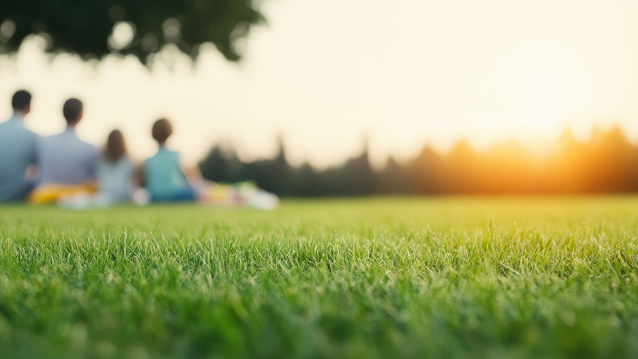 Blurry image at ground level of green grass with a family of four sitting on the ground in the background under a tree. The sun looks like it is starting to set.